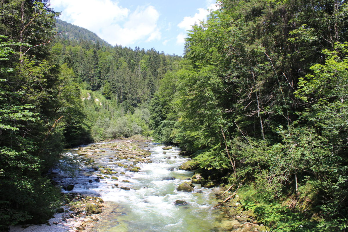 Koppentalwanderweg