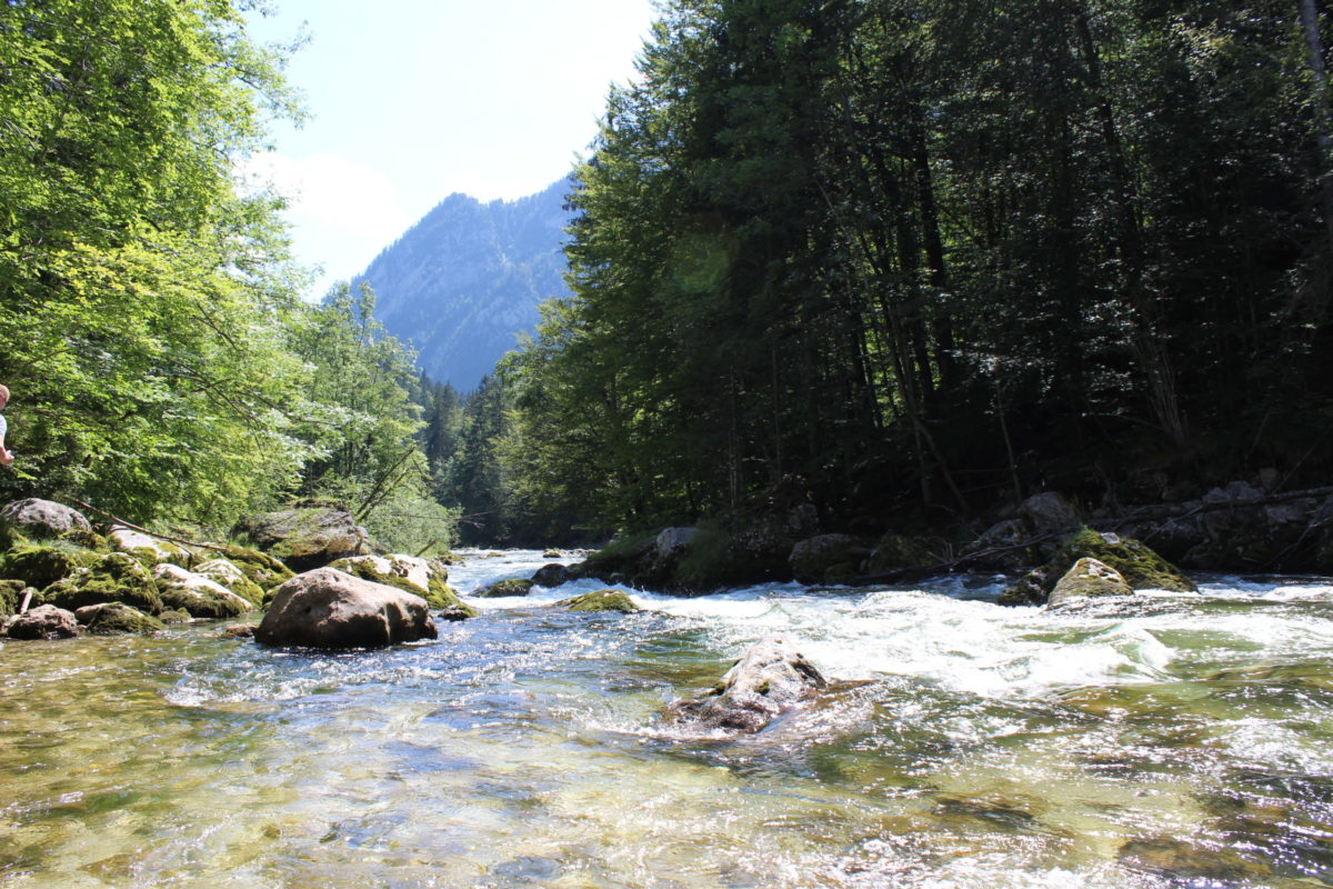 Koppentalwanderweg