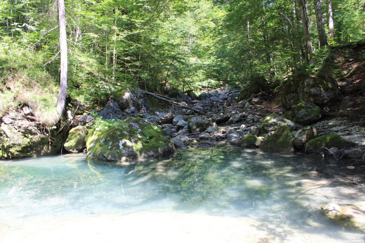 Koppentalwanderweg