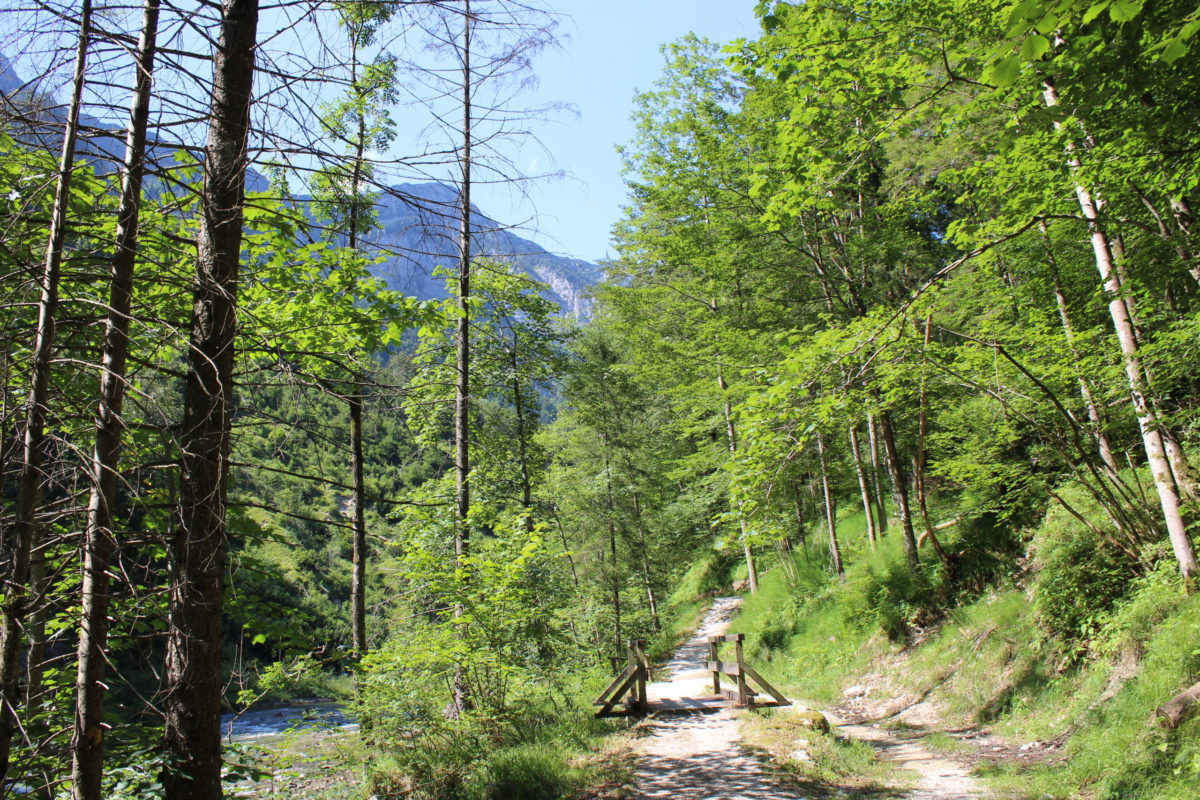 Koppentalwanderweg