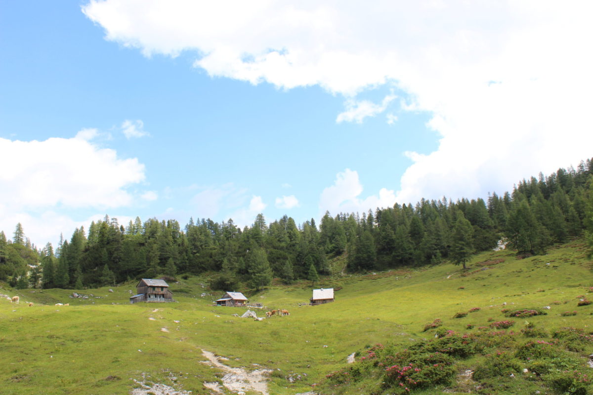 Tauplitzalm 6-Seen-Wanderung