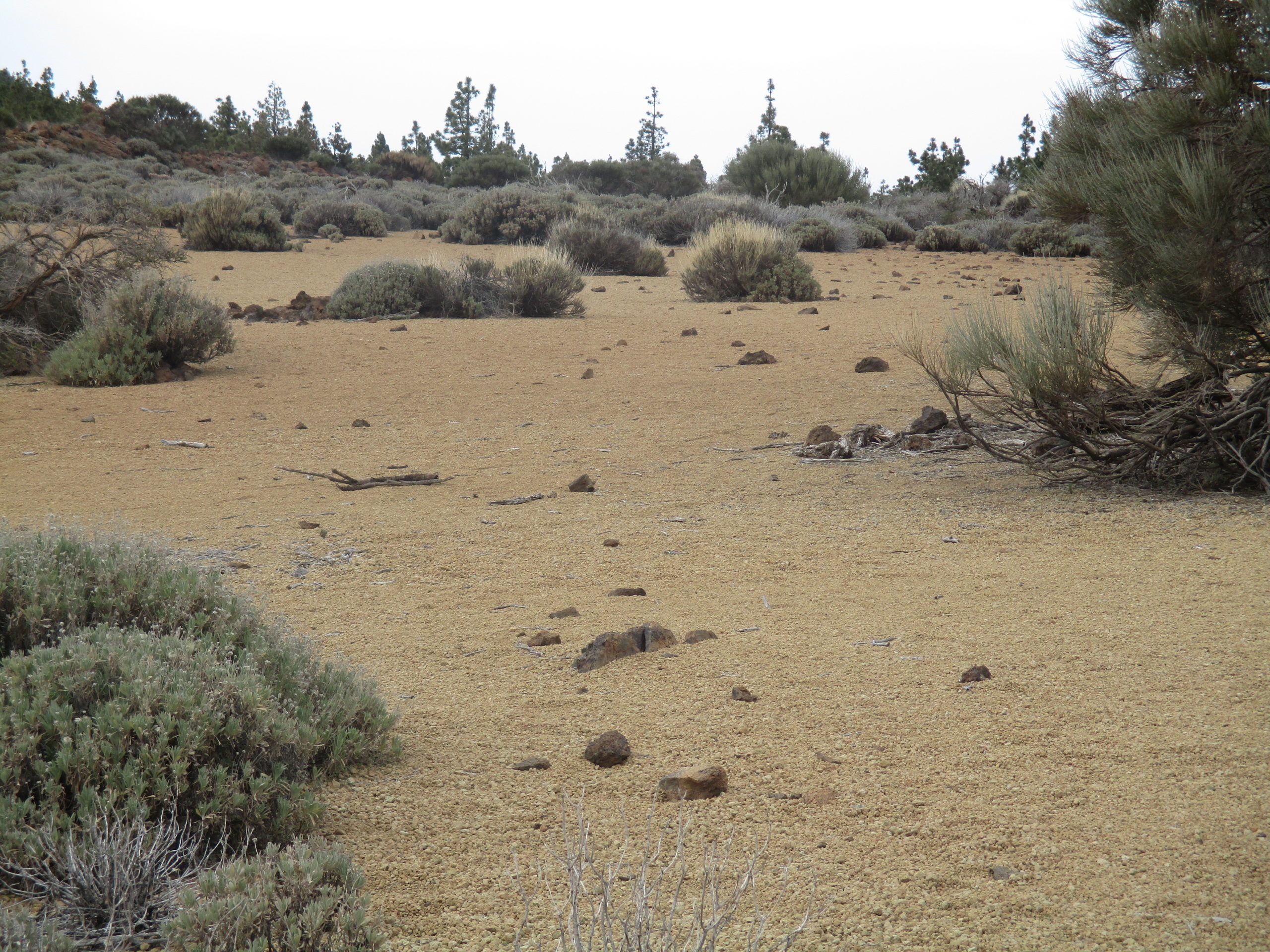 Teneriffa, Teide