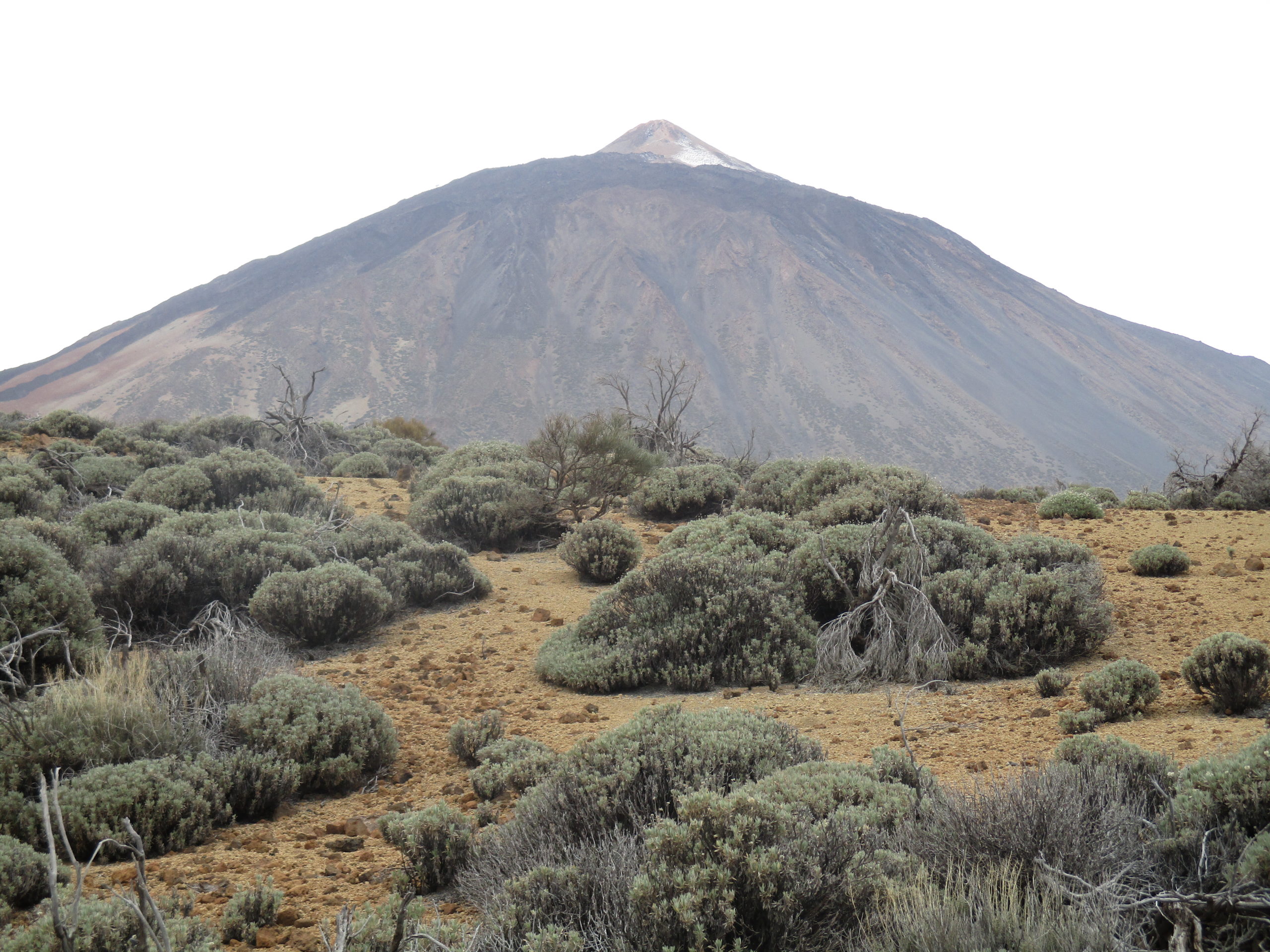 Teneriffa, Teide