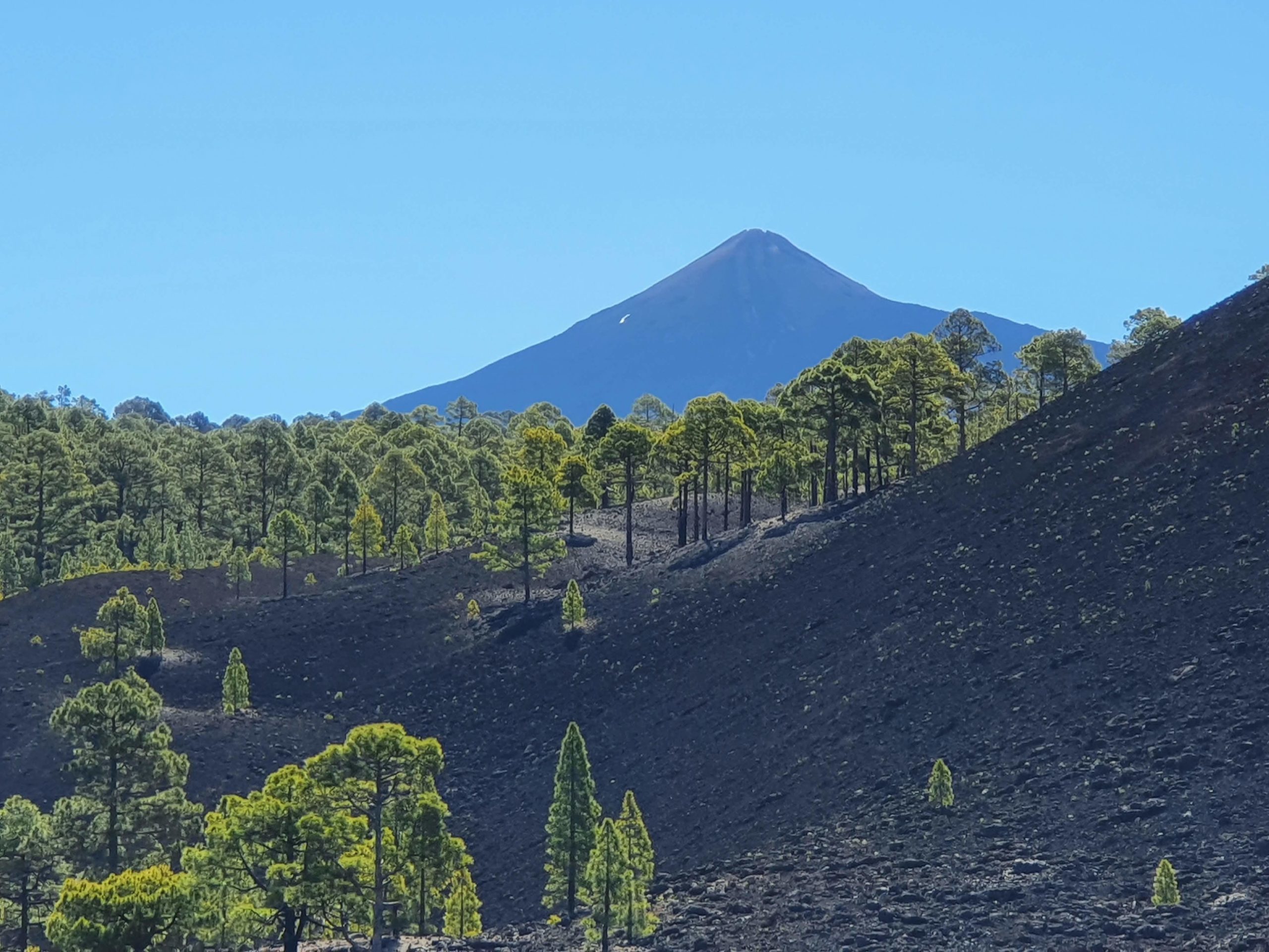 Teide Nationalpark