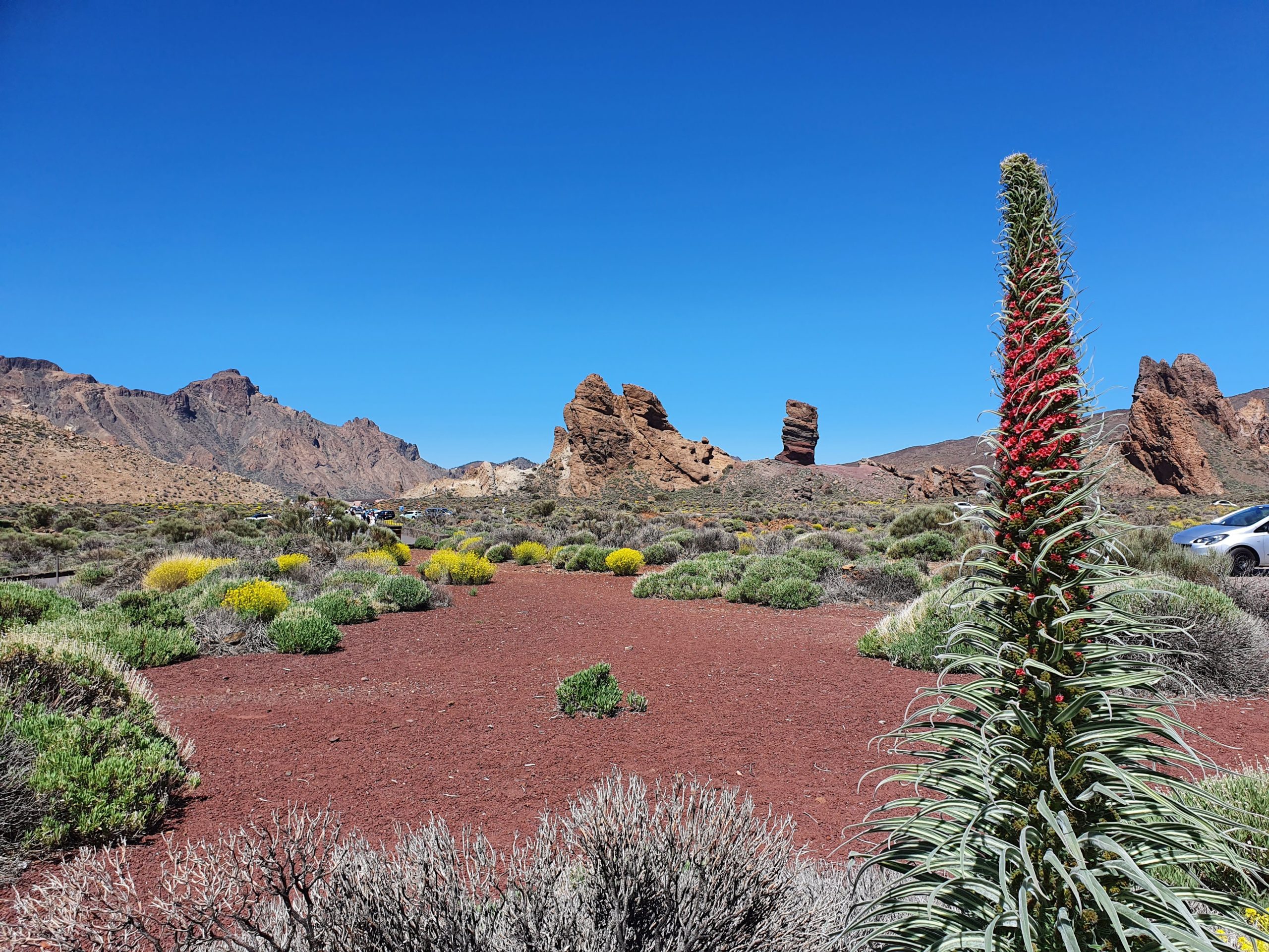 Teide Nationalpark