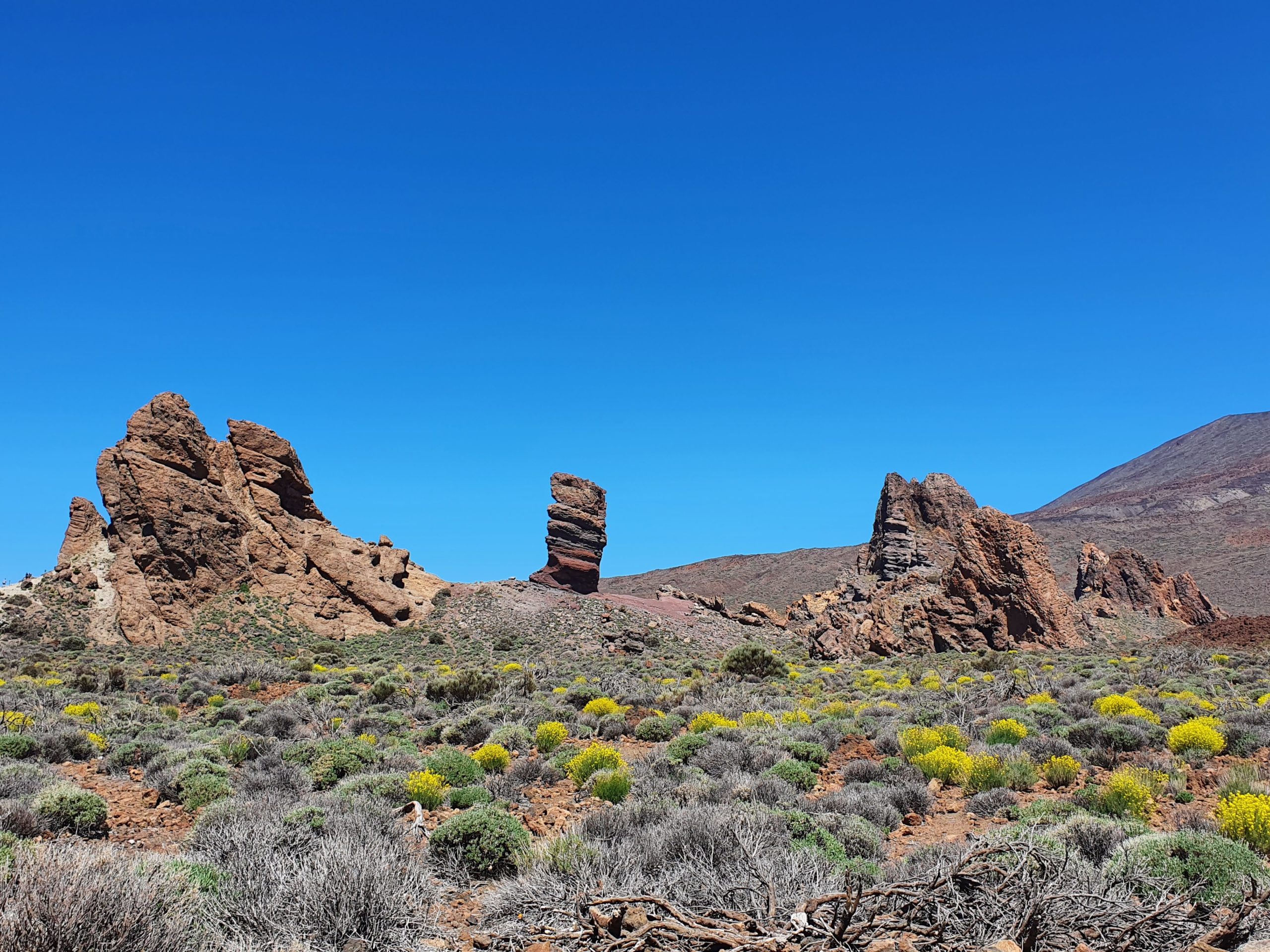 Teide Nationalpark