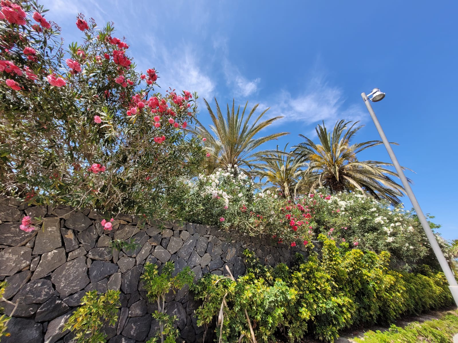 Costa Adeje, Teneriffa