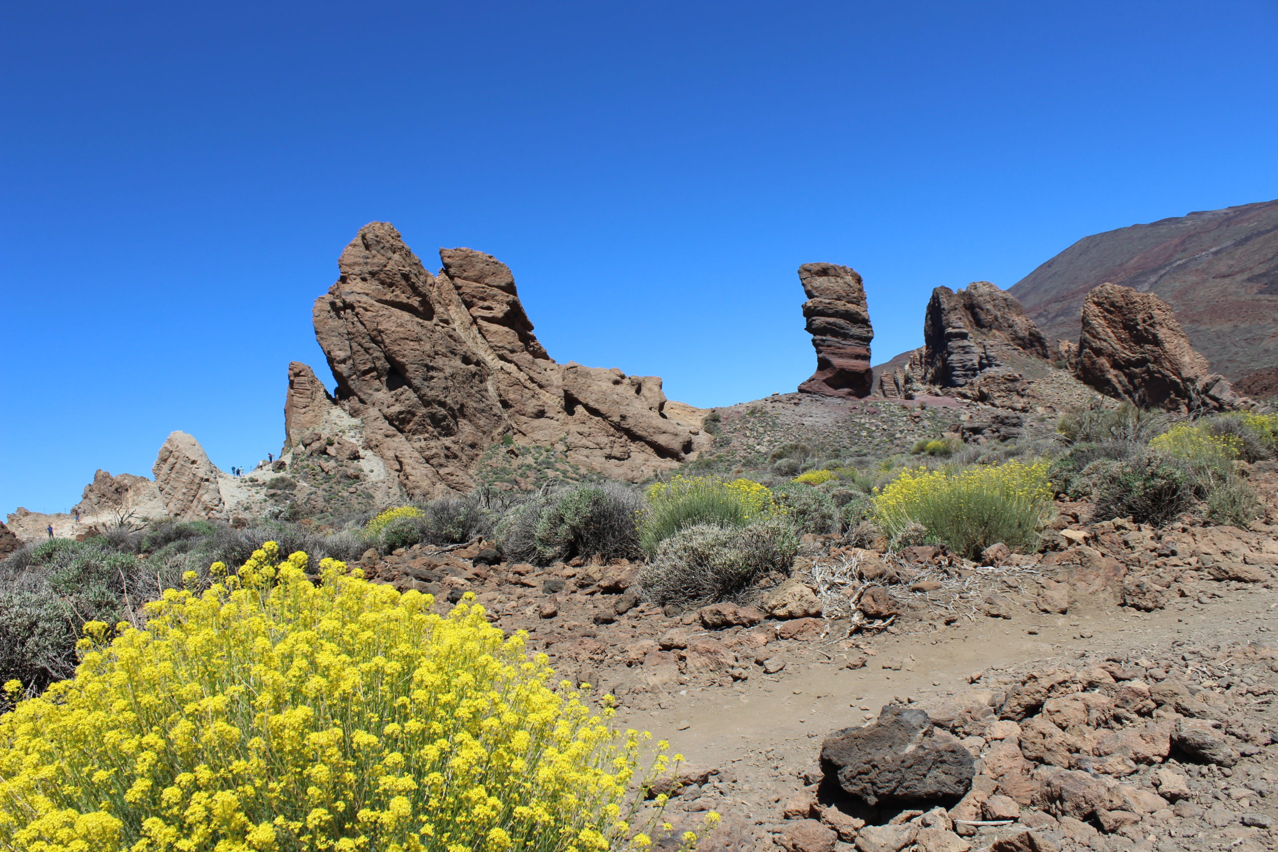 Teide Nationalpark