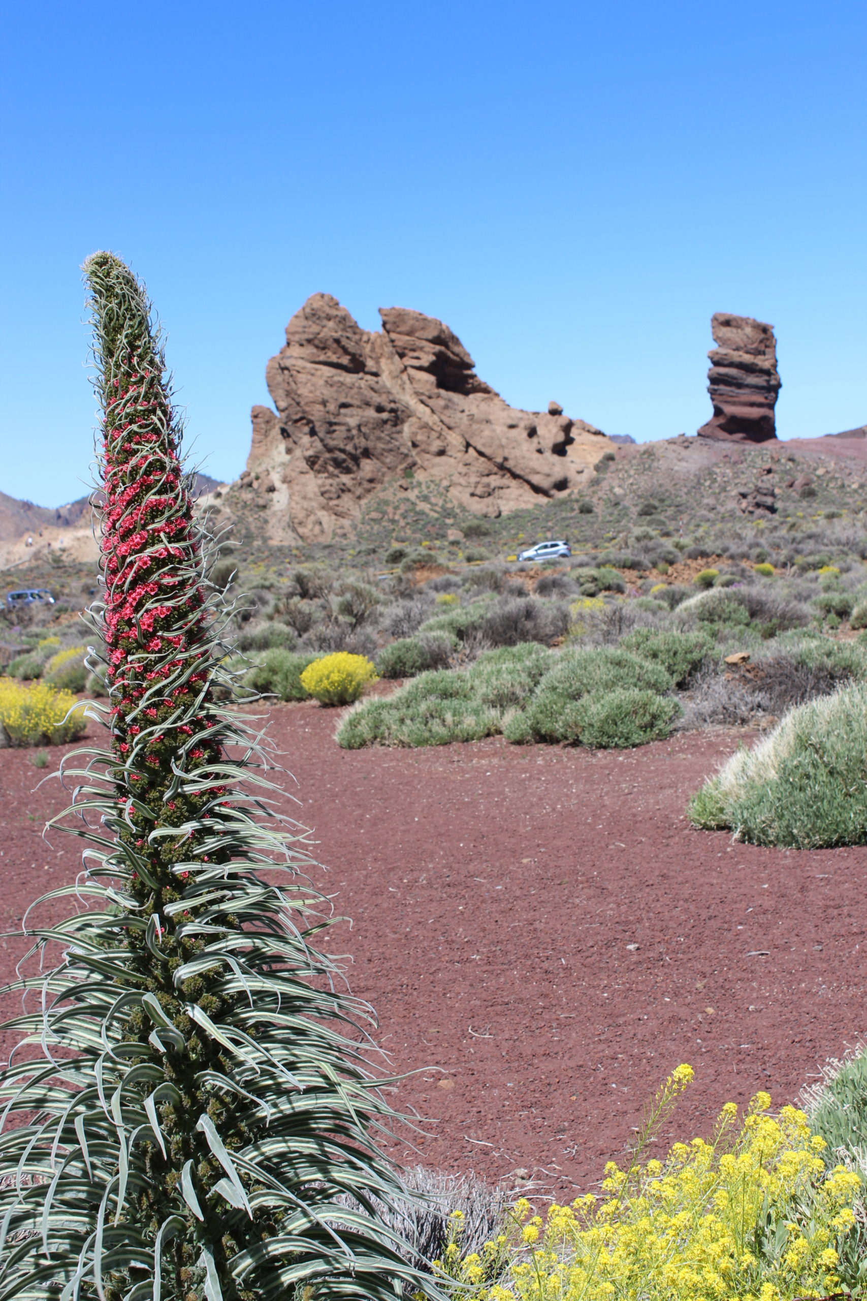 Teide Nationalpark