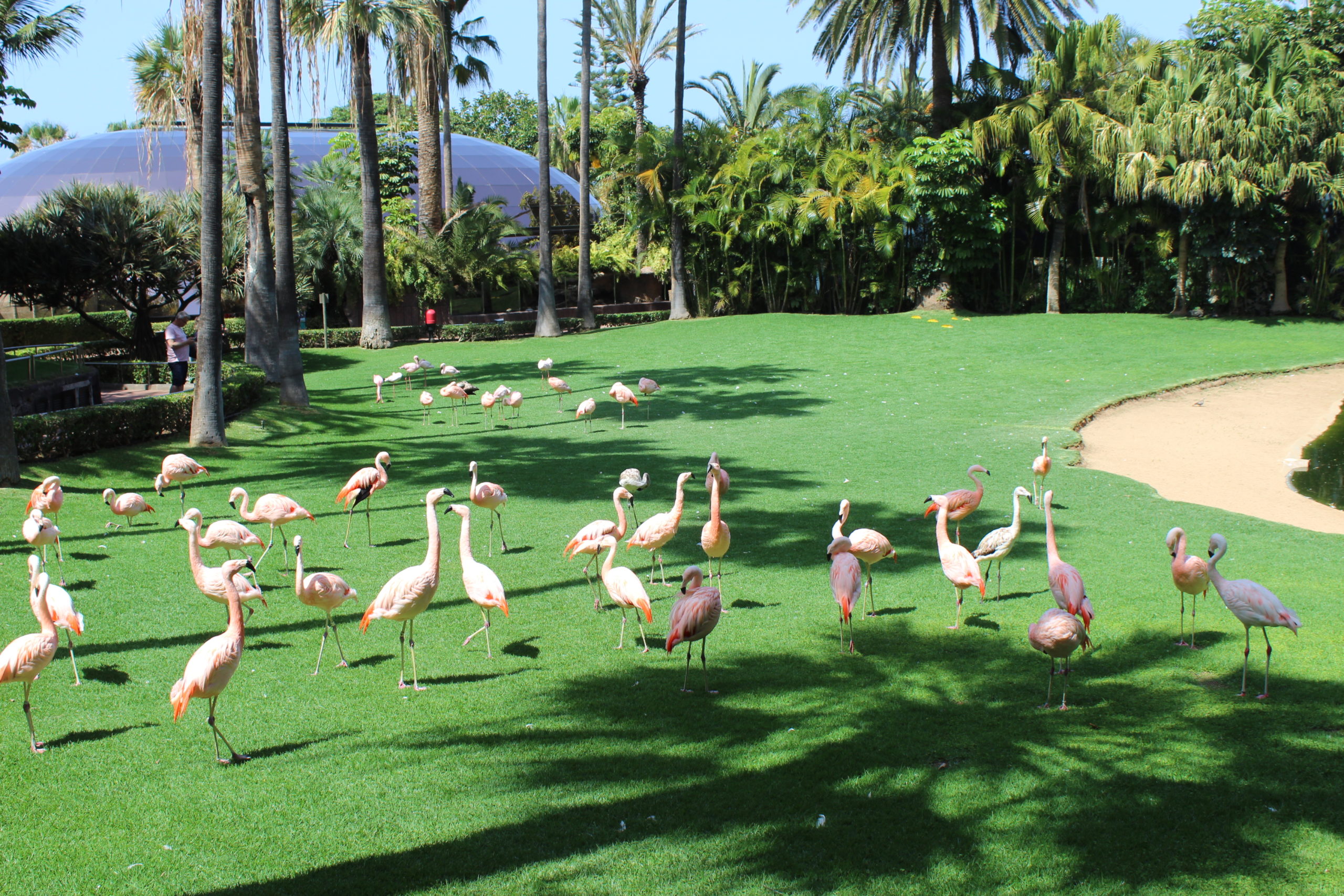 Loro Park, Teneriffa