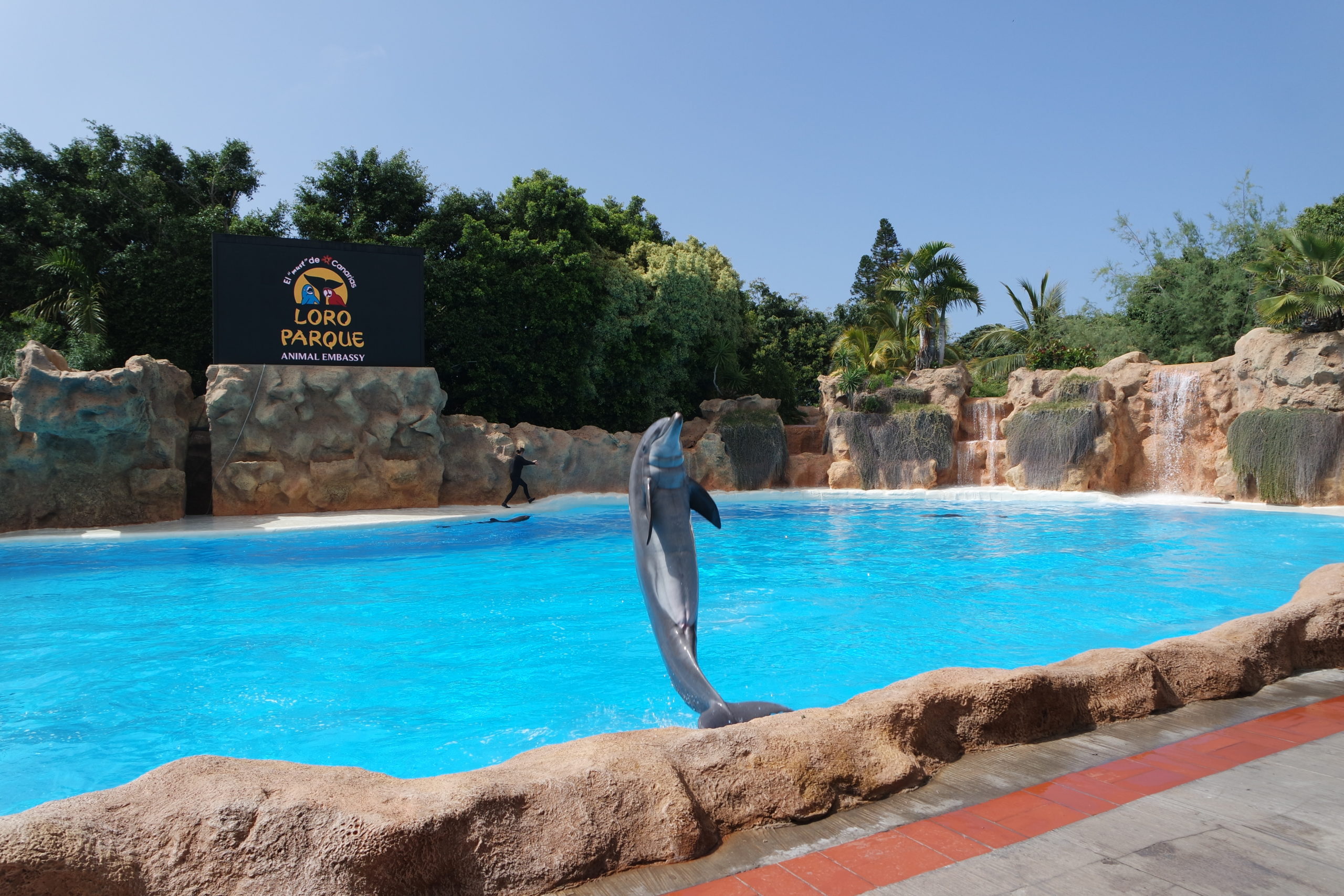 Loro Park, Teneriffa