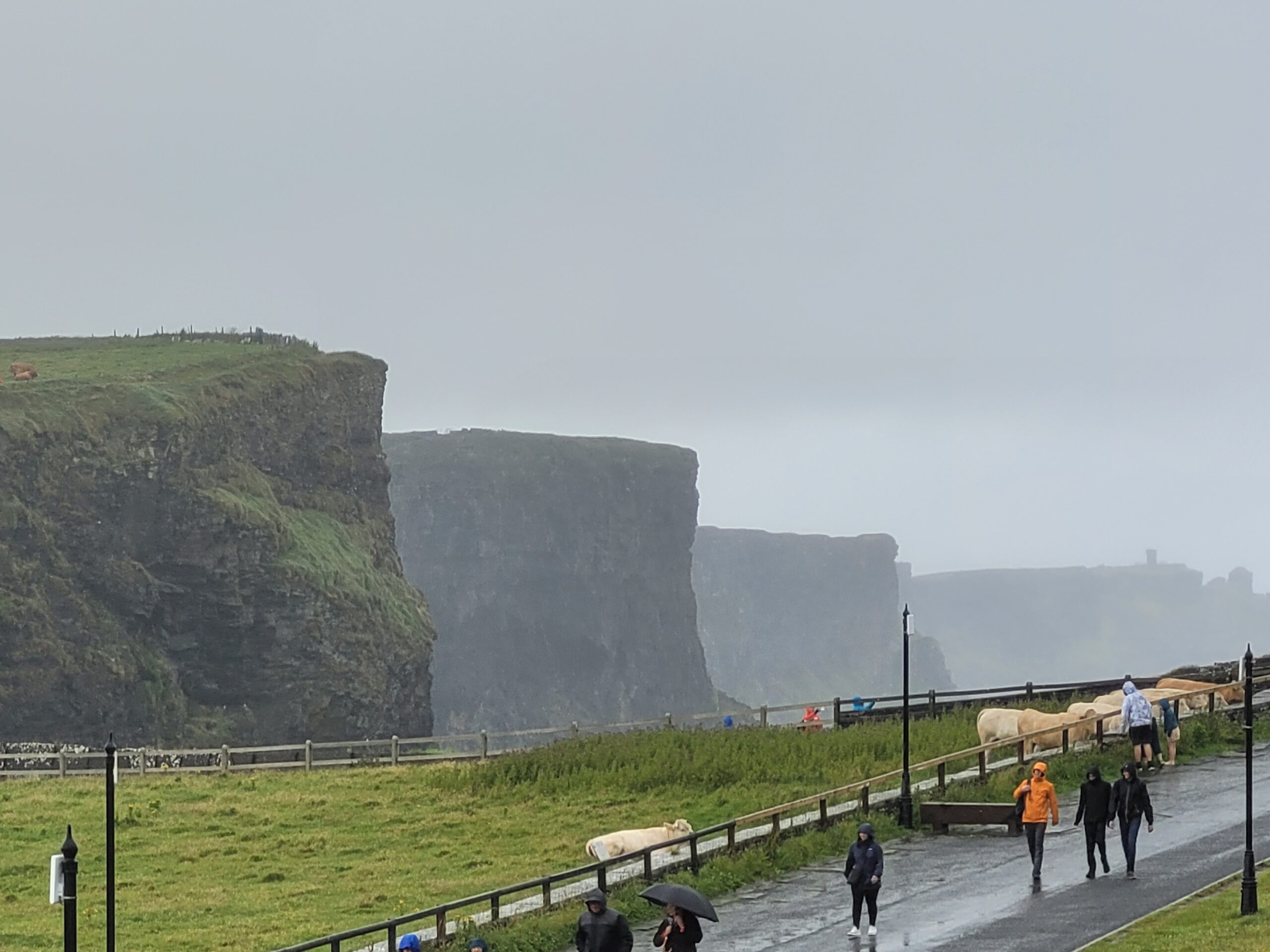 Irland, Cliffs of Moher