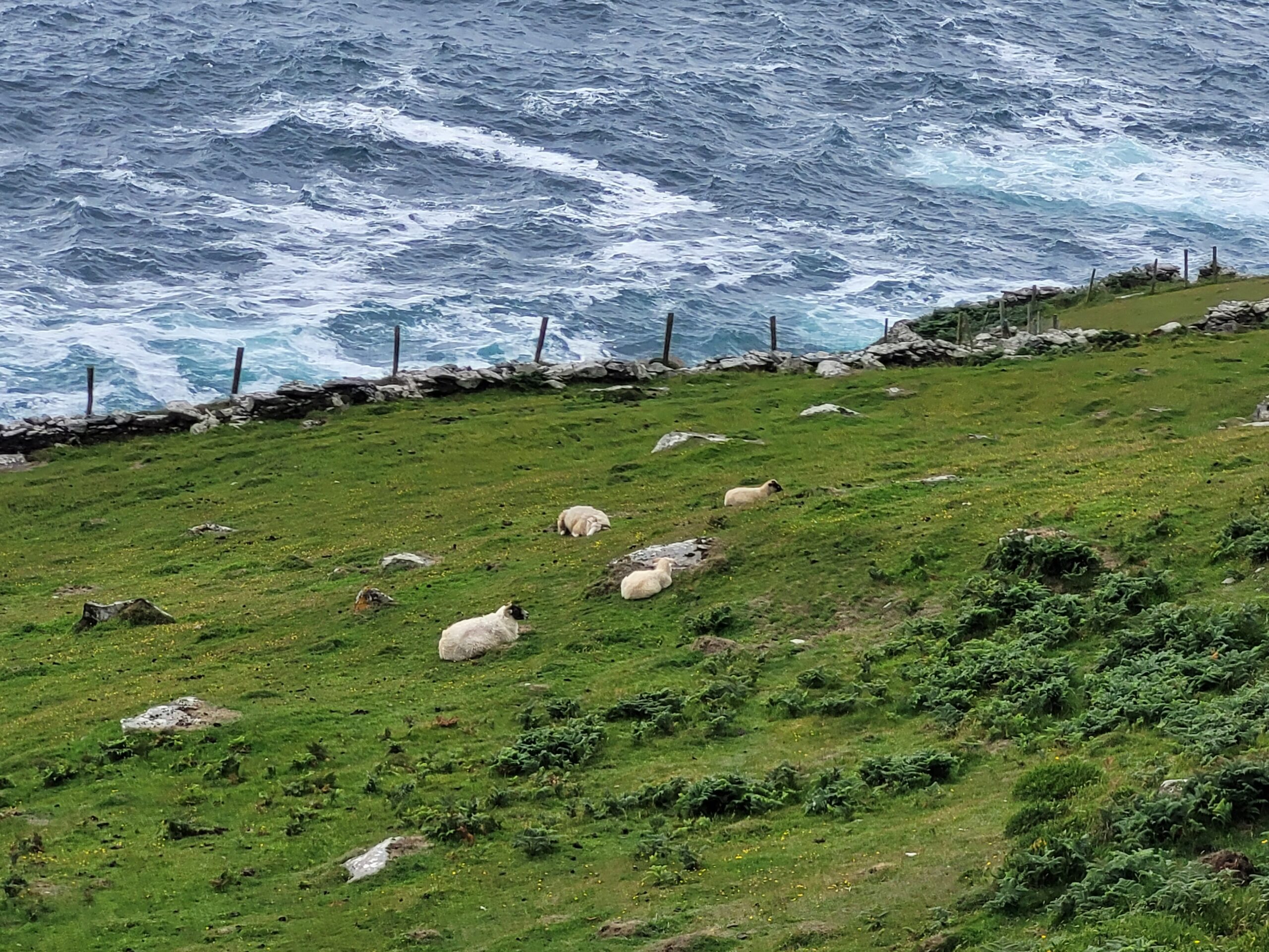 Irland, Dingle Halbinsel