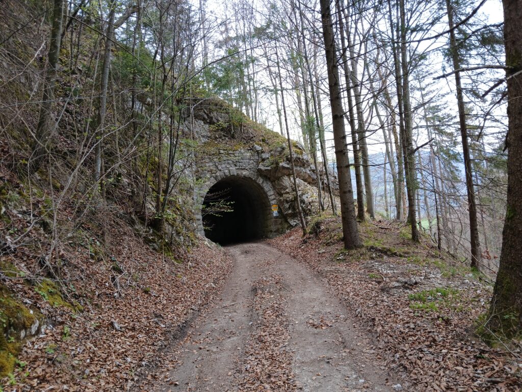 kleiner Scharflinger Tiunnel