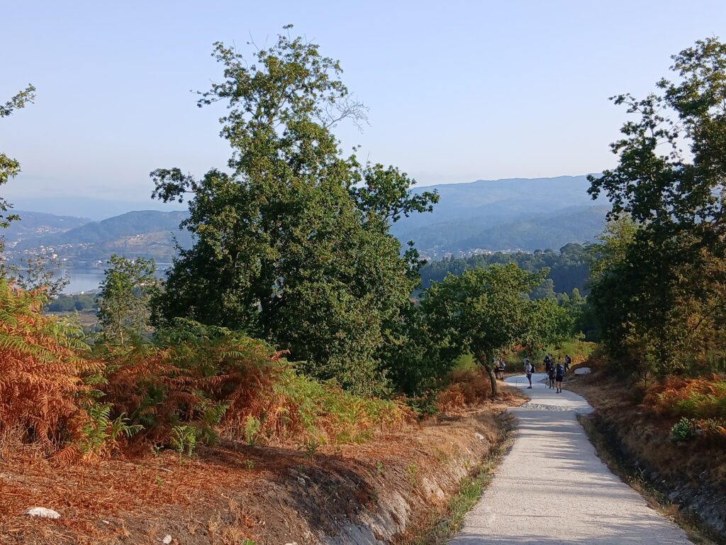 Pilgerweg in Portugal – Eindrücke und Etappen zwischen Porto und Santiago.